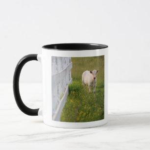 Caneca Vacas no campo