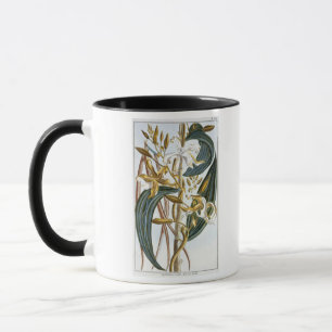 Caneca Vagens da baunilha, placa 65, 'da coleção