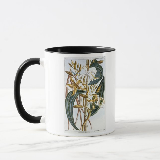 Caneca Vagens da baunilha, placa 65, 'da coleção (Esquerda)