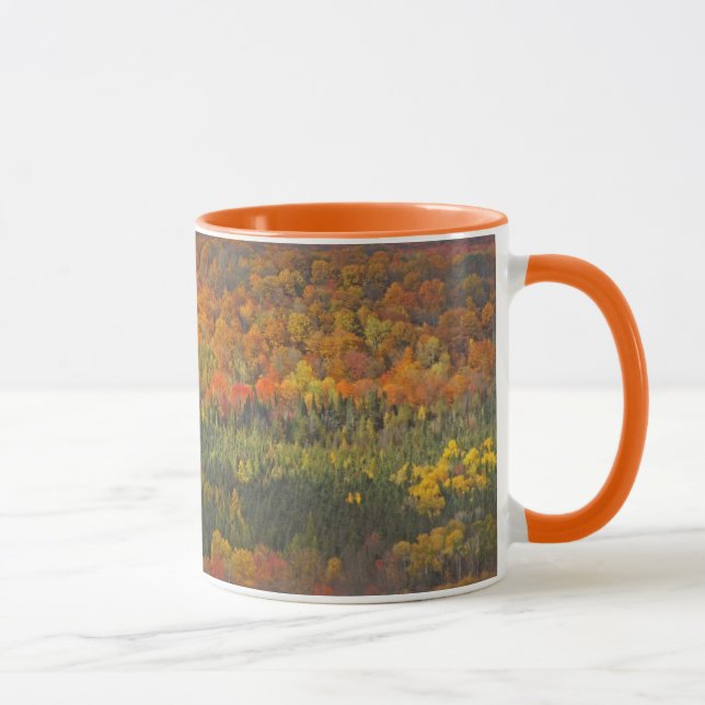 CANECA VÁLVULA "LANDSCAPE AUTUMN" DE ÁRVORES TORNADAS DOU (Direita)