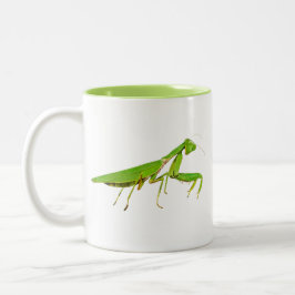 Caneca verde gigante da louva-a-deus Praying