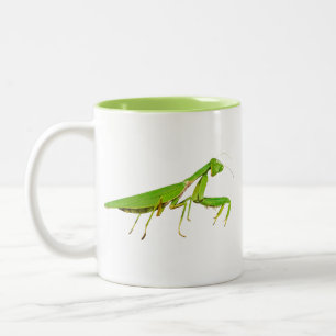 Caneca verde gigante da louva-a-deus Praying