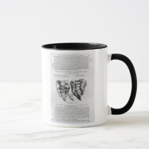 Caneca Vértebras, Cocyx (impressão de b/w)