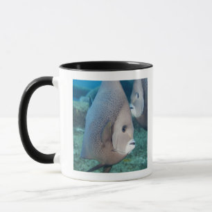 Caneca Vida subaquática, PEIXE:  um par de Angelfish