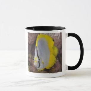 Caneca Vida subaquática, PEIXE: Um tropical colorido