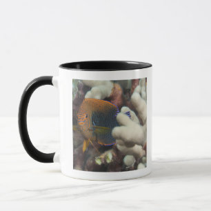 Caneca Vida subaquática; PEIXES: Um retrato de um oleiro