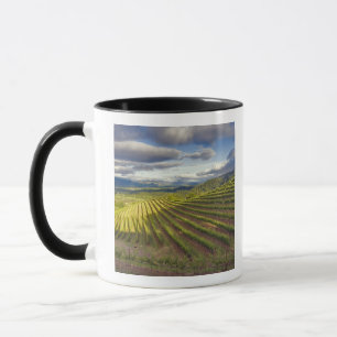Caneca Vineyard. Vale Napa. Napa. Condado de Napa,