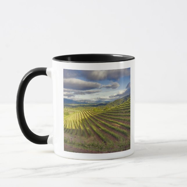 Caneca Vineyard. Vale Napa. Napa. Condado de Napa, (Esquerda)