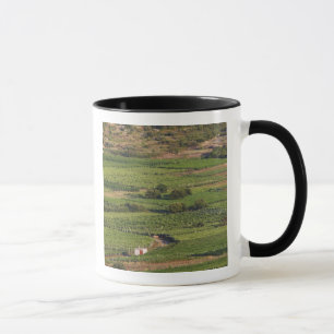 Caneca Vinhas Smokvica em Korcula a partir da Toreta