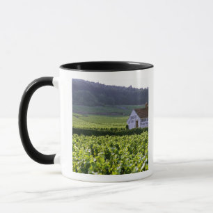 Caneca vinhedo Chambertin Clos de Beze Grand Cru com