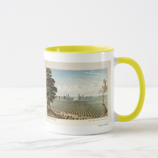 Caneca Vinhedo do EL Pinal, San Joaquin County (Direita)