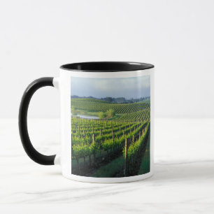 Caneca Vinhos em filas negras no Napa da Califórnia