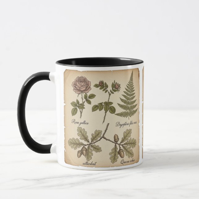 Caneca Vintage Botanical Illustration | Rose, Fern & Oak  (Esquerda)