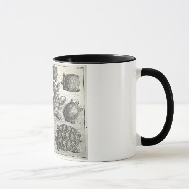 Caneca Vintage Turtle Etching (Direita)