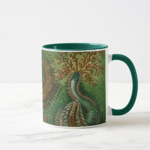 Caneca Vintage Worms Annelids Chaetopoda por Ernst Haecke