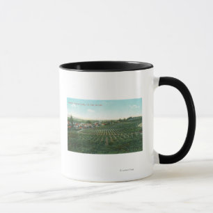 Caneca Vista aérea da cidade, Condado de Sonoma, a partir