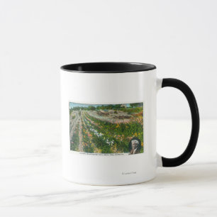 Caneca Vista aérea da fazenda experimental de Burbanks