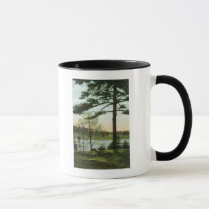 Caneca Vista cénico no reservatório de Chestnut Hill