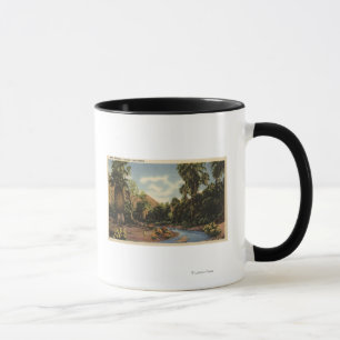 Caneca Vista da garganta do Palm Springs
