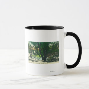 Caneca Vista da lagoa de Hot Springs