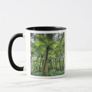 Caneca Vista da vegetação nos Jardins Botânicos de Bali,