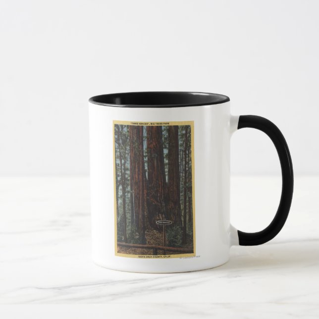 Caneca Vista de "Três Graves" no Parque das Grandes Árvor (Direita)