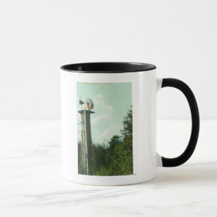 Caneca Vista de um vento MillEureka da sequóia, CA