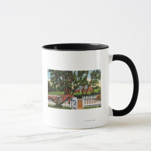 Caneca Vista de uma Residência de Quitação