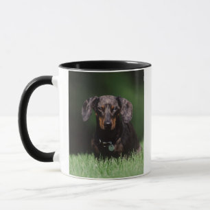 Caneca Vista do Dachshund de cor malhada