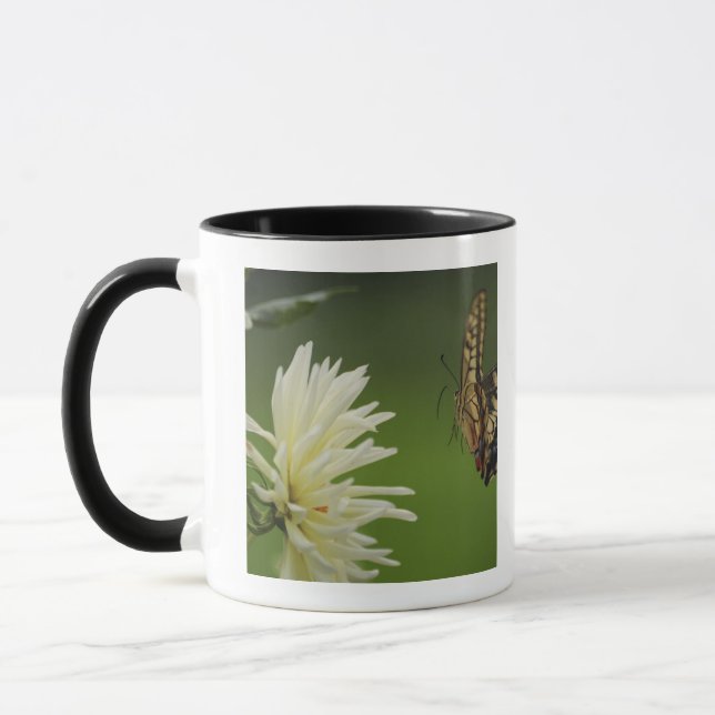 Caneca Vôo de Swallowtail do Velho Mundo (Esquerda)