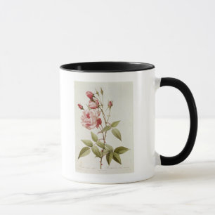 Caneca Vulgar Indica de Rosa, 'dos rosas de Les