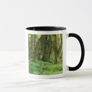 Caneca WA, Olimpiadas NP, Floresta de Chuva Quinault, mus