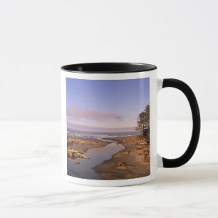 Caneca WA, Olimpiadas NP, Kalaloch Beach e Kalaloch