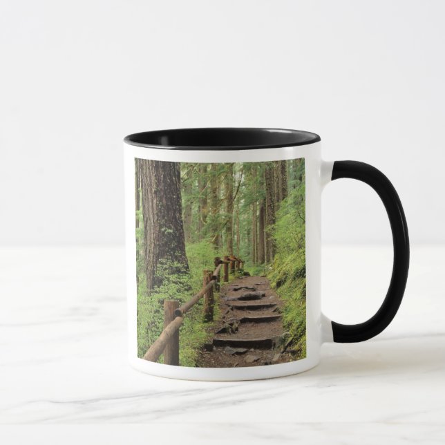 Caneca WA, Olimpiadas NP, Sol Duc Valley, floresta tropic (Direita)