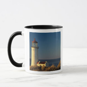 Caneca WA, Parque Estadual Cape Disappointment, North Hea