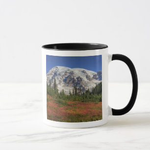 Caneca WA, Parque Nacional Mt. Rainier, Vale do Paraíso