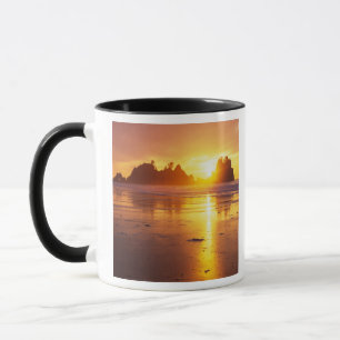 Caneca WA, PN Olímpico, praia Shi Shi ao pôr do sol, Pont