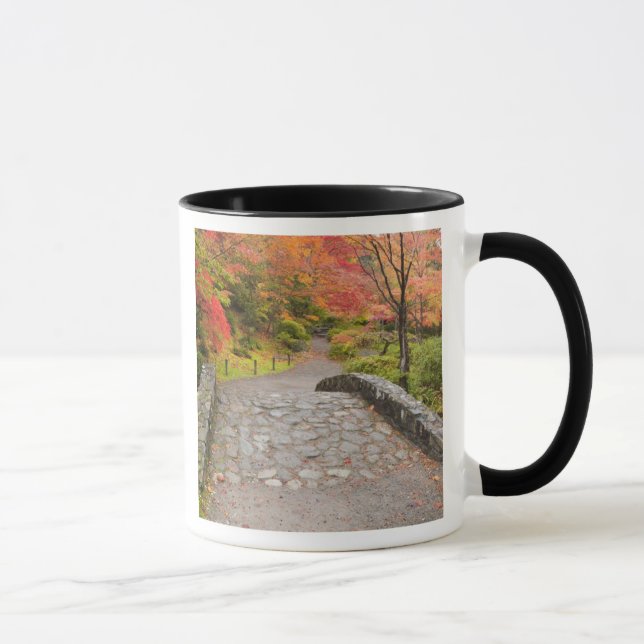 Caneca WA, Seattle, Arboreto do Parque de Washington, (Direita)