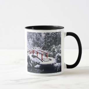 Caneca WA, Seattle, Ponte da Lua e lago após o inverno