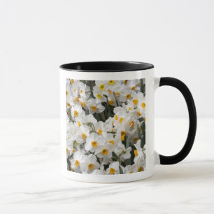 Caneca WA, Vale do Skagit, padrão de Narciso