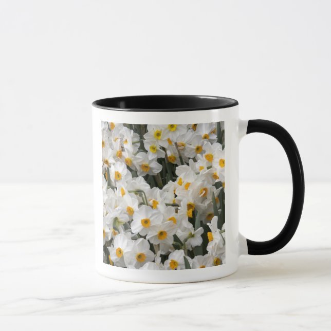Caneca WA, Vale do Skagit, padrão de Narciso (Direita)