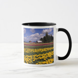 Caneca WA, Vale do Skagit, Tulipa do Vale do Skagit