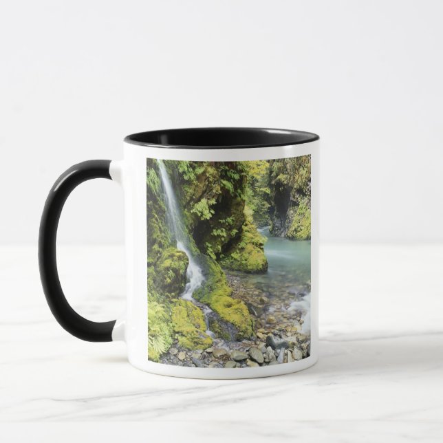 Caneca Washington, Parque Nacional Olímpico, Sazonal (Esquerda)