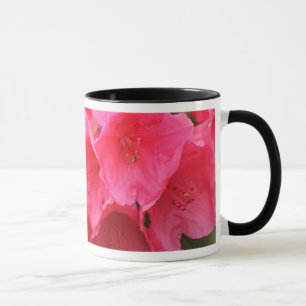 Caneca Washington, Seattle, Puget Sound, Parque Discovery