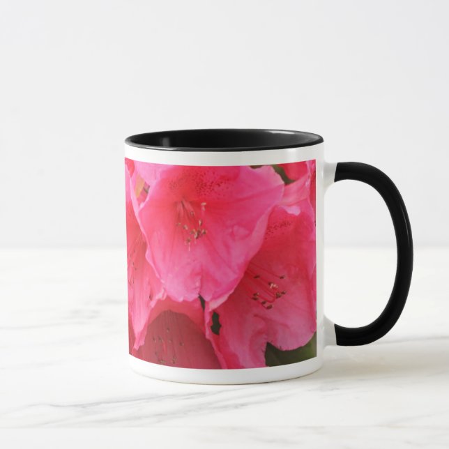 Caneca Washington, Seattle, Puget Sound, Parque Discovery (Direita)
