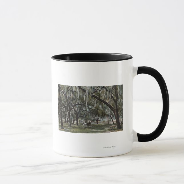 Caneca Welaka, FL - Vista do Welaka Park & Mossy Trees (Direita)