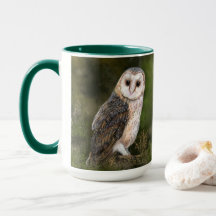 Western Barn Owl Mug - Pintura