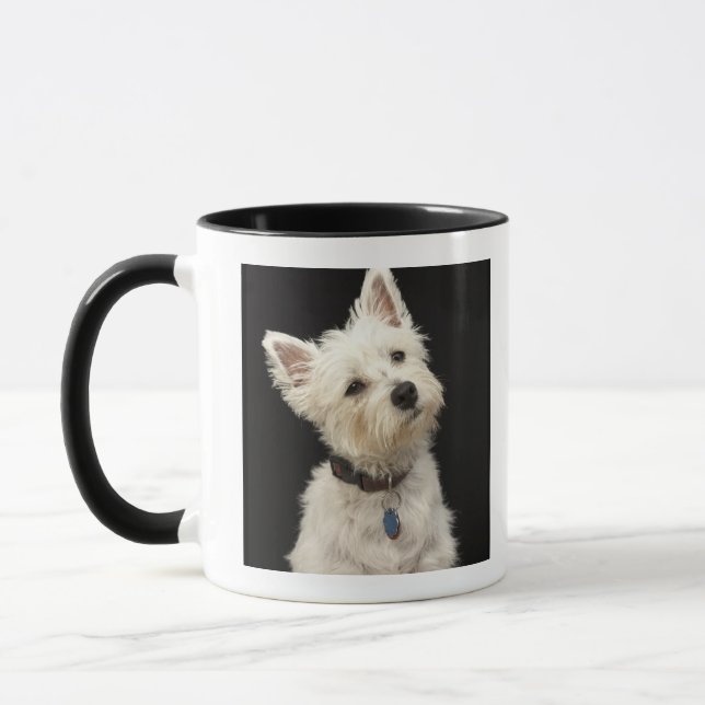 Caneca Westie (terrier ocidental das montanhas) com colar (Esquerda)