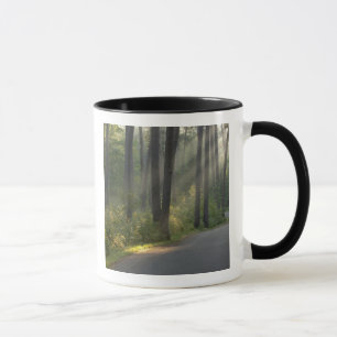 Caneca Wilderness Drive, Parque Estadual de Itasca,