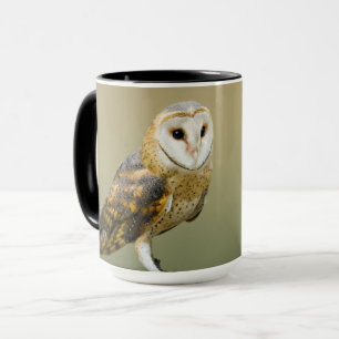 Caneca Wildlife Barn Owl Photo